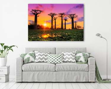 Majomkenyérfák és napkelte Afrikában (vászonkép) - vászonkép, falikép otthonra és irodába