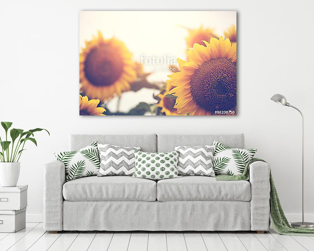Napraforgók (vászonkép) - vászonkép, falikép otthonra és irodába