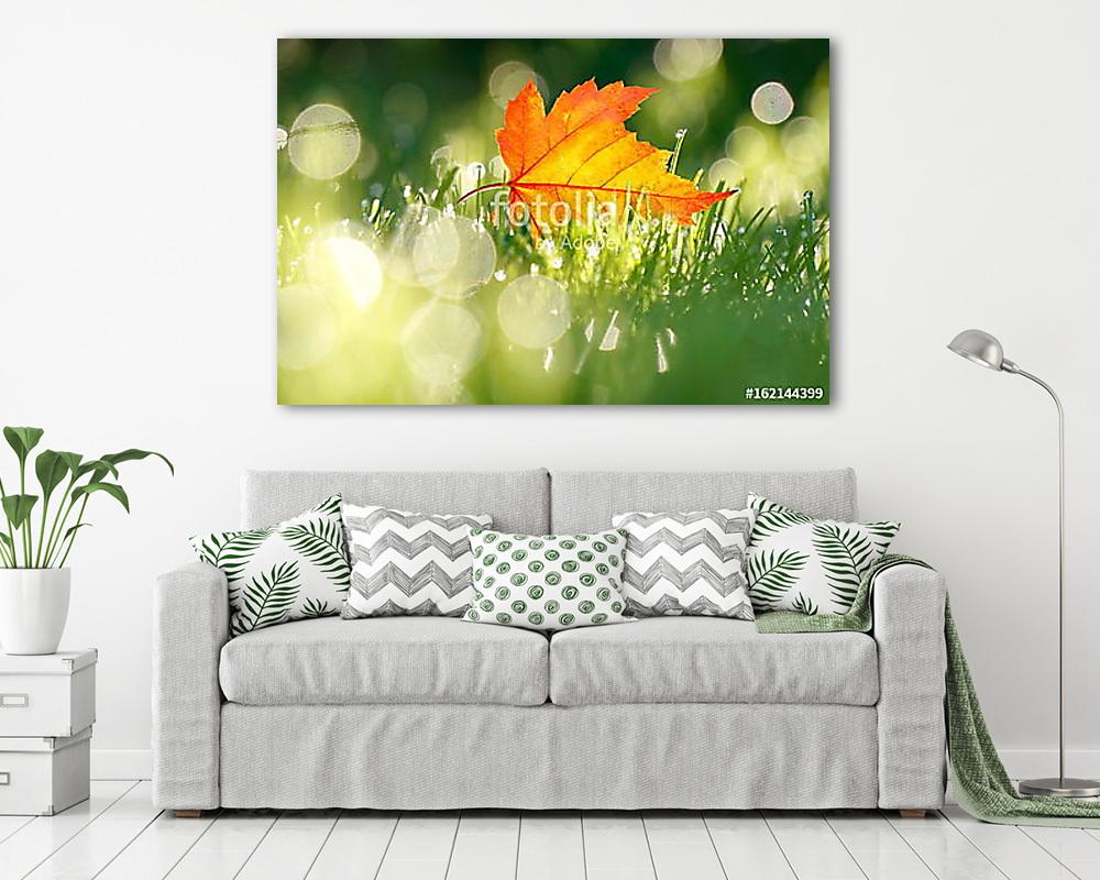 Arany őszi levél a napfényben a háttérben  - vászonkép, falikép vásárlás Arany őszi levél a napfényben a háttérben  (vászonkép) - vászonkép, falikép otthonra és irodába