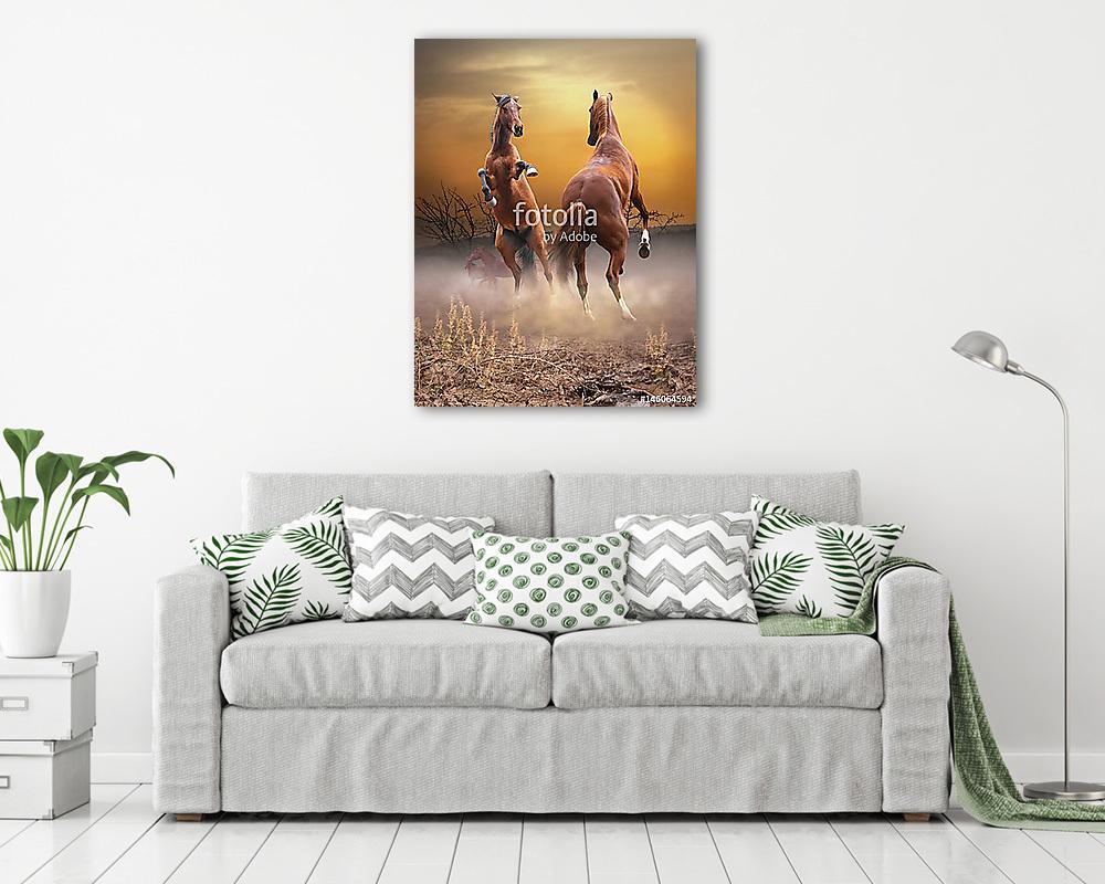 Két ló harcol a herceg címére - vászonkép, falikép vásárlás Két ló harcol a herceg címére (vászonkép) - vászonkép, falikép otthonra és irodába