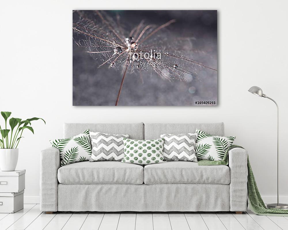 Macro of dandelion with drops of water or dew. Skin dandelion cl (poszter) - vászonkép, falikép otthonra és irodába