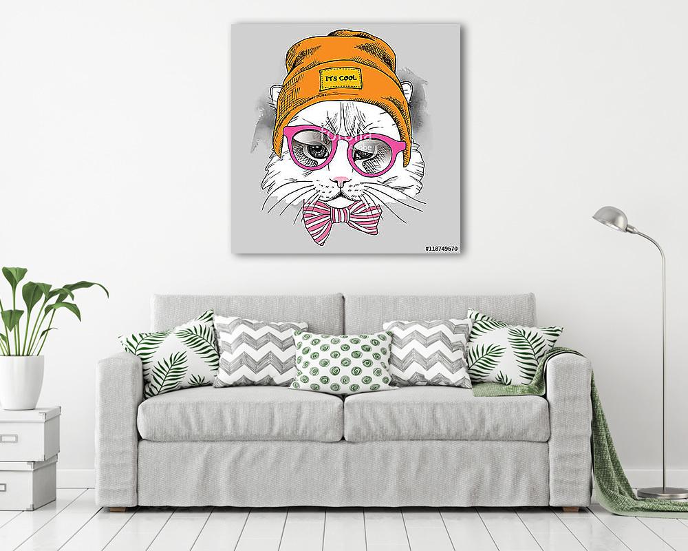 Macska sapkában - vászonkép, falikép vásárlás Macska sapkában (fotótapéta) - vászonkép, falikép otthonra és irodába