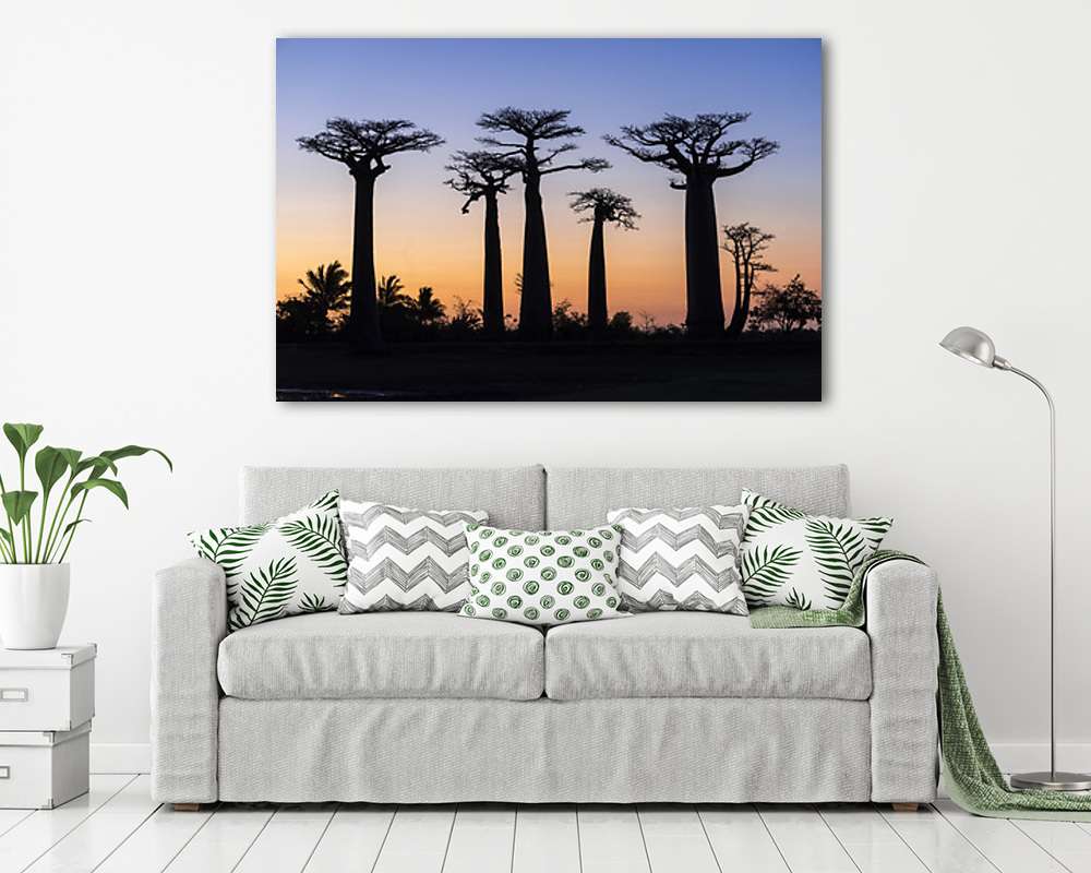 Varázslatos égbolt színek és majomkenyérfák (többrészes kép) - vászonkép, falikép otthonra és irodába