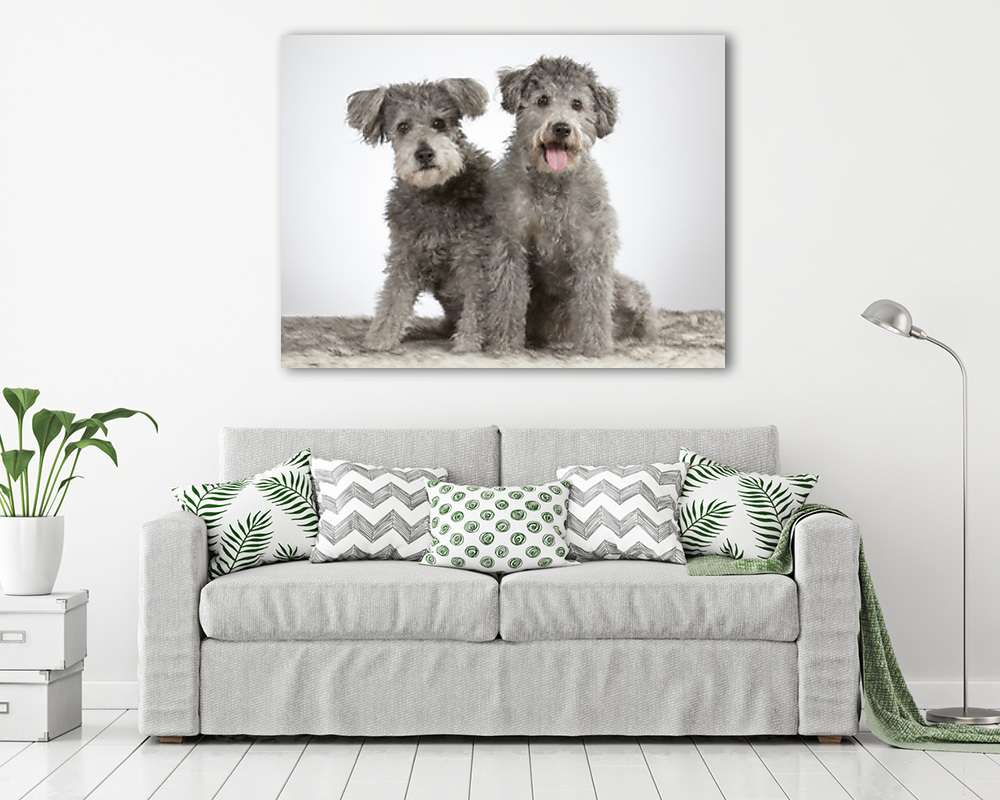 Pumi kölykök - vászonkép, falikép vásárlás Pumi kölykök (vászonkép) - vászonkép, falikép otthonra és irodába