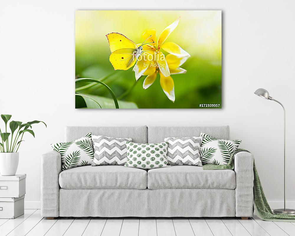 Világos gyönyörű sárga pillangó egy egzotikus virágon zölden - vászonkép, falikép vásárlás Világos gyönyörű sárga pillangó egy egzotikus virágon zölden (vászonkép) - vászonkép, falikép otthonra és irodába