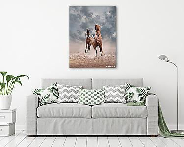 A lovak harcolnak a hátsó lábakon állva (vászonkép) - vászonkép, falikép otthonra és irodába