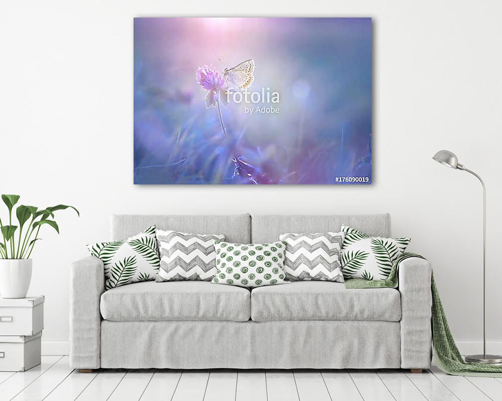 Gentle exquisite butterfly on a clover flower in spring in the s (bögre) - vászonkép, falikép otthonra és irodába