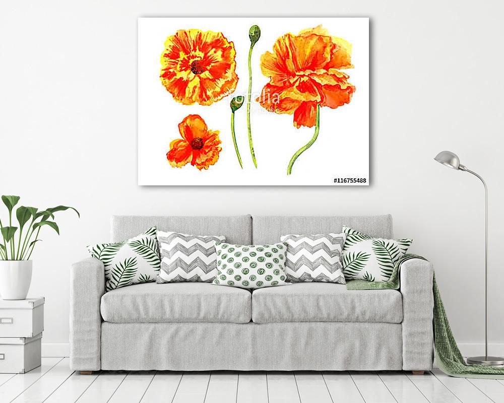 Watercolor red poppy wild flower isolated on white background bo - vászonkép, falikép vásárlás Watercolor red poppy wild flower isolated on white background bo (vászonkép) - vászonkép, falikép otthonra és irodába