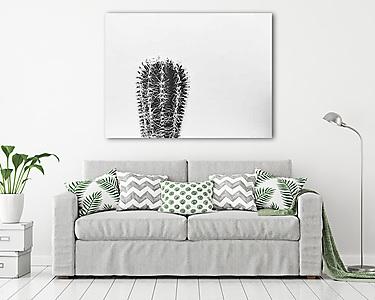 Kaktusz (vászonkép) - vászonkép, falikép otthonra és irodába