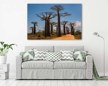 Majomkenyérfa-erdő (vászonkép) - vászonkép, falikép otthonra és irodába