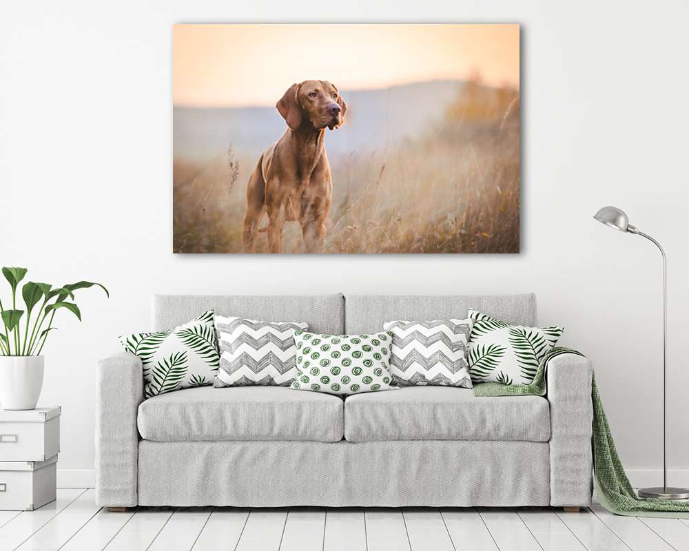 Koncentráció - vászonkép, falikép vásárlás Koncentráció (vászonkép) - vászonkép, falikép otthonra és irodába