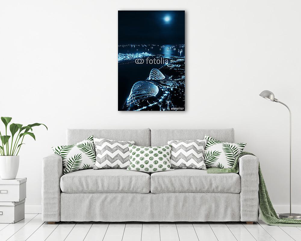 Singapore - vászonkép, falikép vásárlás Singapore (vászonkép) - vászonkép, falikép otthonra és irodába