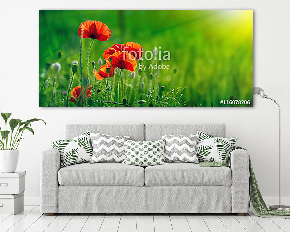 Csodálatos mákmező. Nyári virágok. (vászonkép) - vászonkép, falikép otthonra és irodába