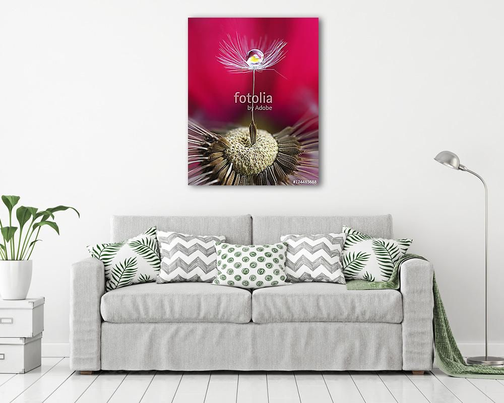 Fotóművészeti makró. A pitypangmag egy csepp vízzel és egy flo (vászonkép) - vászonkép, falikép otthonra és irodába