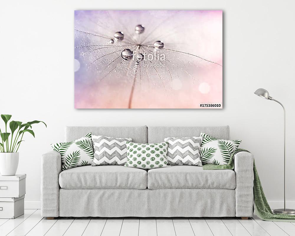 Silver droplets of dew on a dandelion.Selective focus. Dandelion - vászonkép, falikép vásárlás Silver droplets of dew on a dandelion.Selective focus. Dandelion (poszter) - vászonkép, falikép otthonra és irodába