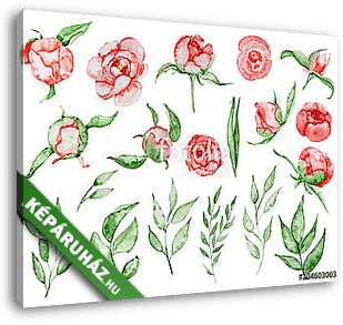 Watercolor red peonies flowers and leaves set Hand drawn illustr - vászonkép 3D látványterv