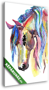 Horse head. Color watercolor illustration. Hand drawn - vászonkép 3D látványterv