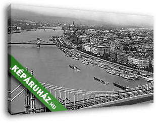 Látkép a Gellérthegyről, előtérben az Erzsébet híd (1935) - vászonkép 3D látványterv