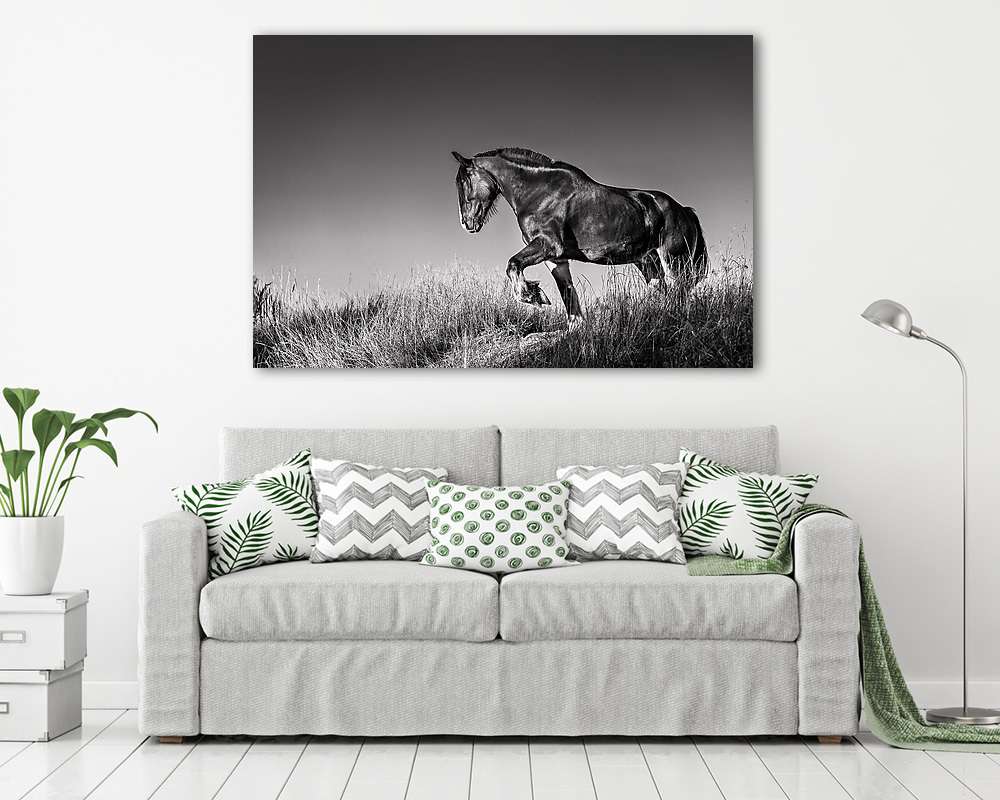 Ló fekete-fehérben (többrészes kép) - vászonkép, falikép otthonra és irodába