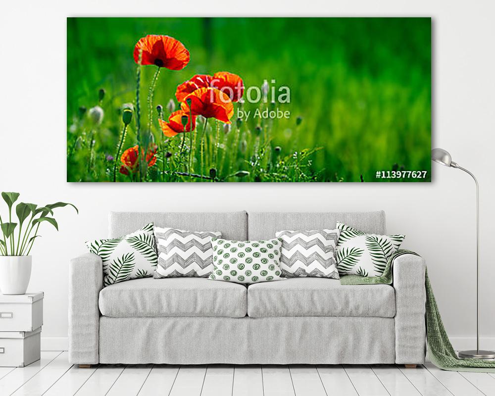 Csodálatos mákmező. Nyári virágok. (többrészes kép) - vászonkép, falikép otthonra és irodába