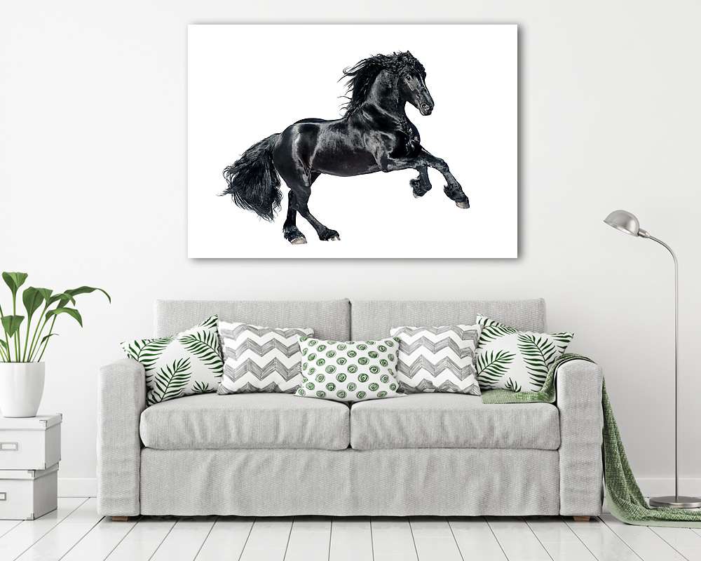 fekete friesian ló elszigetelt fehér háttérrel (bögre) - vászonkép, falikép otthonra és irodába