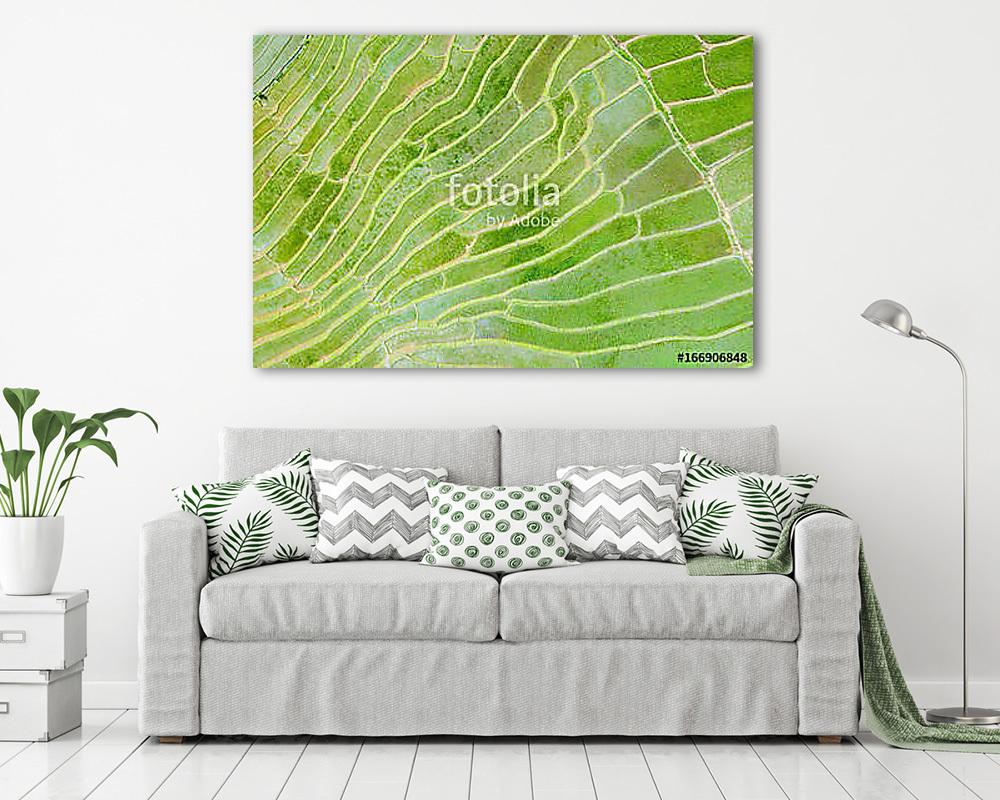 Riszföldek (légifelvétel) (többrészes kép) - vászonkép, falikép otthonra és irodába