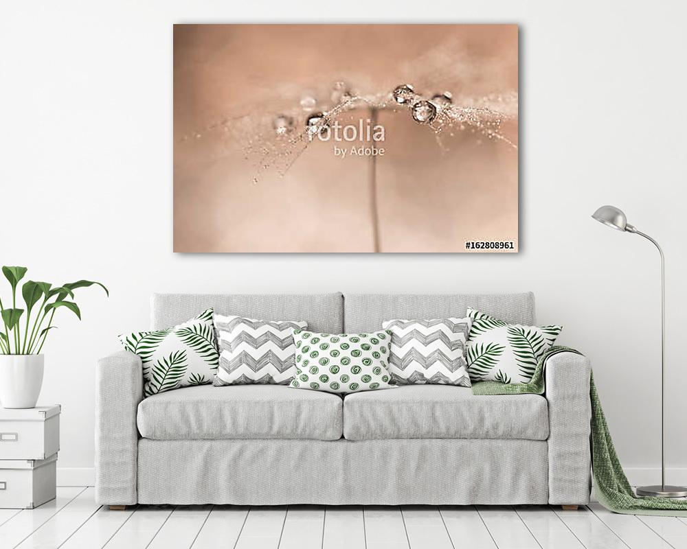 Drops on dandelions up close. Abstract photo with the dandelion. (bögre) - vászonkép, falikép otthonra és irodába