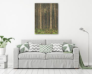 Erdei fák (vászonkép) - vászonkép, falikép otthonra és irodába