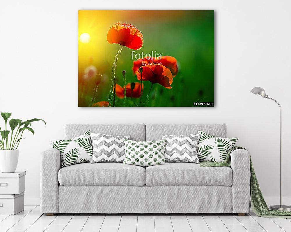 Csodálatos mákmező. Nyári virágok. (többrészes kép) - vászonkép, falikép otthonra és irodába