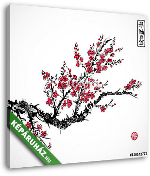 Keleti vörös sakura cseresznyefa virágban fehér alapon.  - vászonkép 3D látványterv