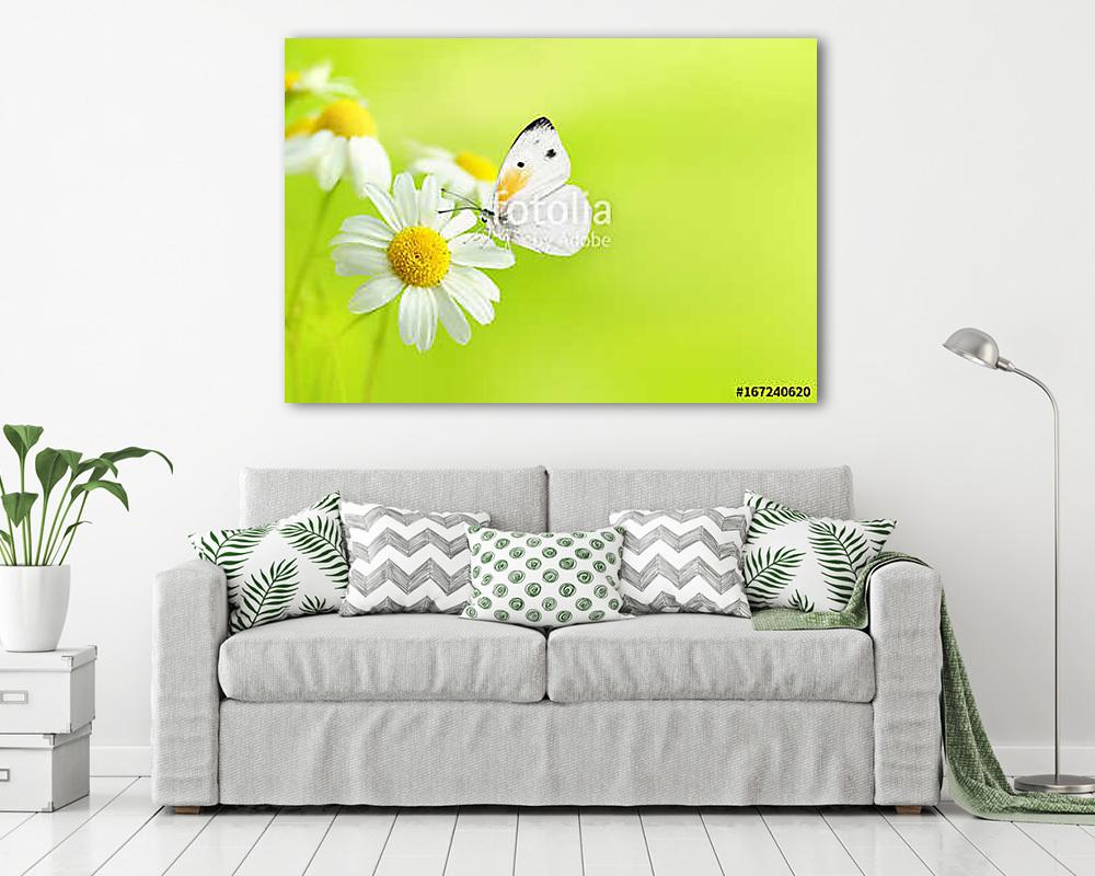 Delicate beautiful light green natural summer spring background  (bögre) - vászonkép, falikép otthonra és irodába