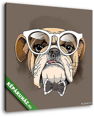 Bulldog portrait in a glasses and with a tie. Vector illustratio - vászonkép 3D látványterv