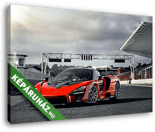 McLaren Senna 2019 - a griden - vászonkép 3D látványterv