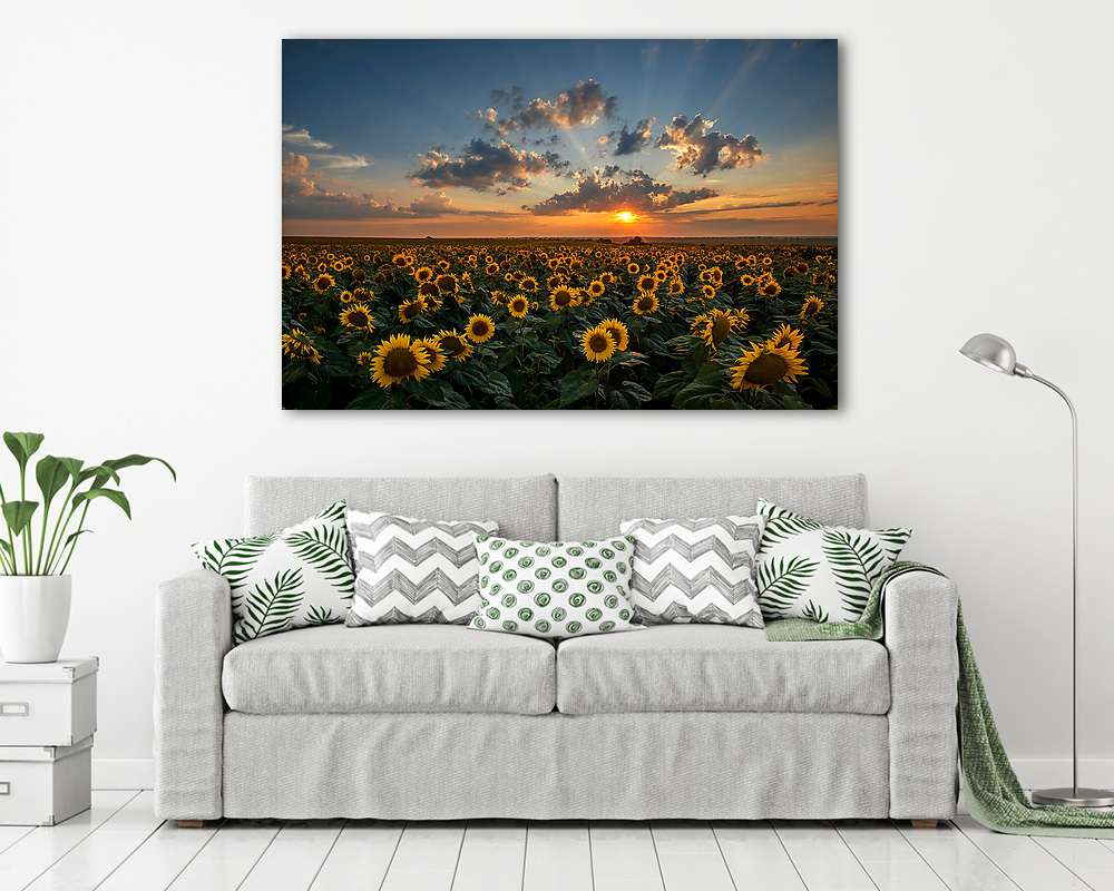 Naplemente  a napraforgók felett - vászonkép, falikép vásárlás Naplemente  a napraforgók felett (vászonkép) - vászonkép, falikép otthonra és irodába