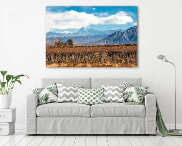 Volcano Aconcagua és a szőlőskert, Mendoza argentin tartomány (vászonkép) - vászonkép, falikép otthonra és irodába