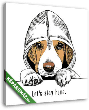 The image of the dog Beagle in the hood. Vector illustration. - vászonkép 3D látványterv