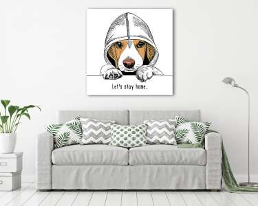 The image of the dog Beagle in the hood. Vector illustration. (vászonkép) - vászonkép, falikép otthonra és irodába