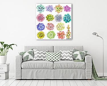 Watercolor set with succulents. Hand drawn raster illustration (vászonkép) - vászonkép, falikép otthonra és irodába