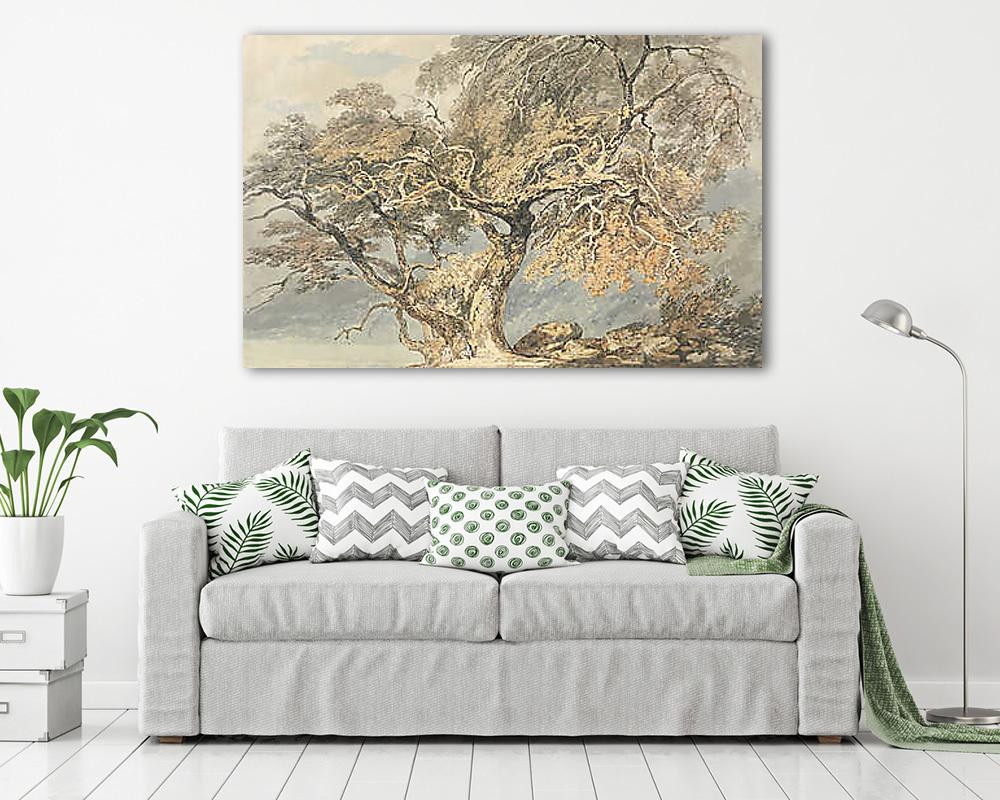 Nagy fa - vászonkép, falikép vásárlás Nagy fa (bögre) - vászonkép, falikép otthonra és irodába
