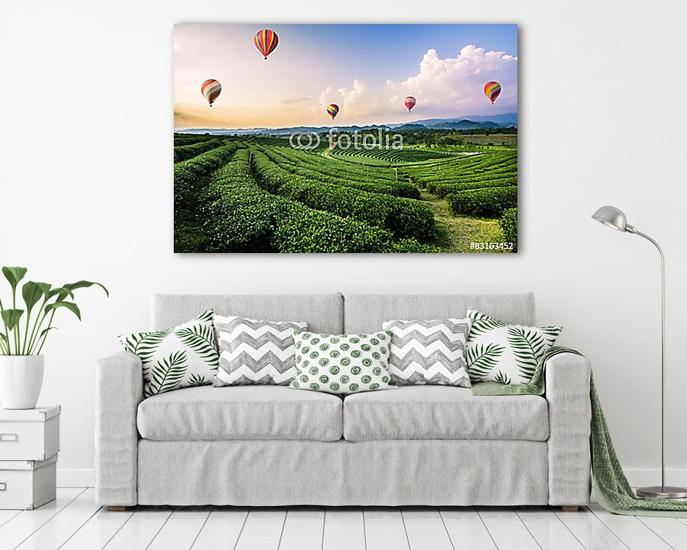 Hőlégballonok teültetvények felett, Kína (vászonkép) - vászonkép, falikép otthonra és irodába
