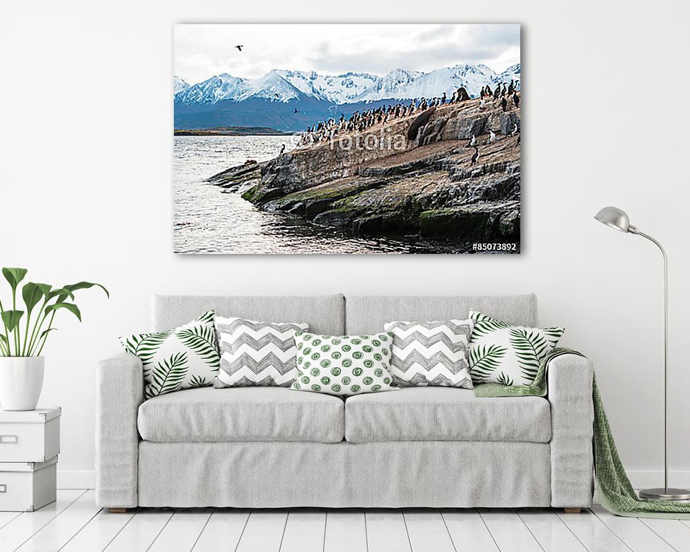 A tengeri oroszlán és a kormorán királyi kolónia a Beagl sziklái - vászonkép, falikép vásárlás A tengeri oroszlán és a kormorán királyi kolónia a Beagl sziklái (vászonkép) - vászonkép, falikép otthonra és irodába