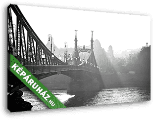Szabadság-híd a ködben. Budapest, Magyarország. - vászonkép 3D látványterv