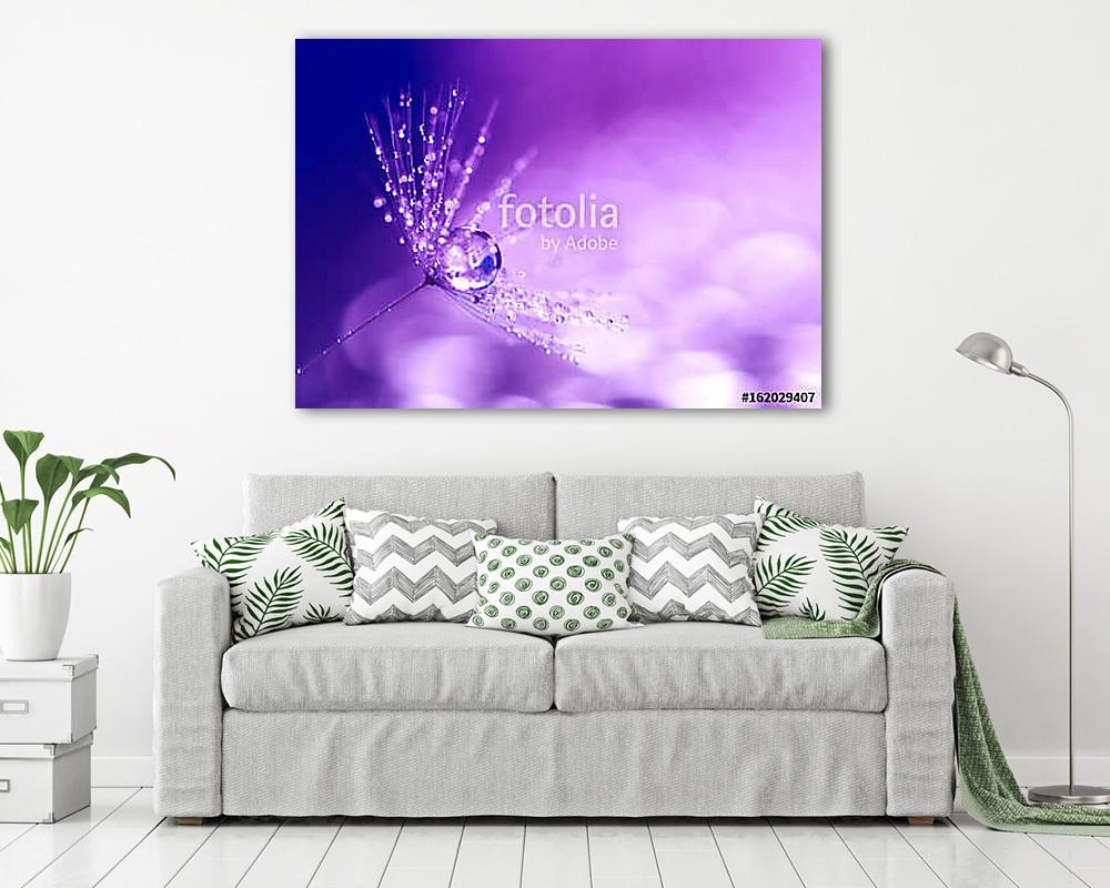 Dandelion closeup with water drops. Artistic macro of a dandelio - vászonkép, falikép vásárlás Dandelion closeup with water drops. Artistic macro of a dandelio (vászonkép) - vászonkép, falikép otthonra és irodába