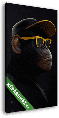 Bölcs majom 1. - (Bal, Nem lát) - vászonkép 3D látványterv
