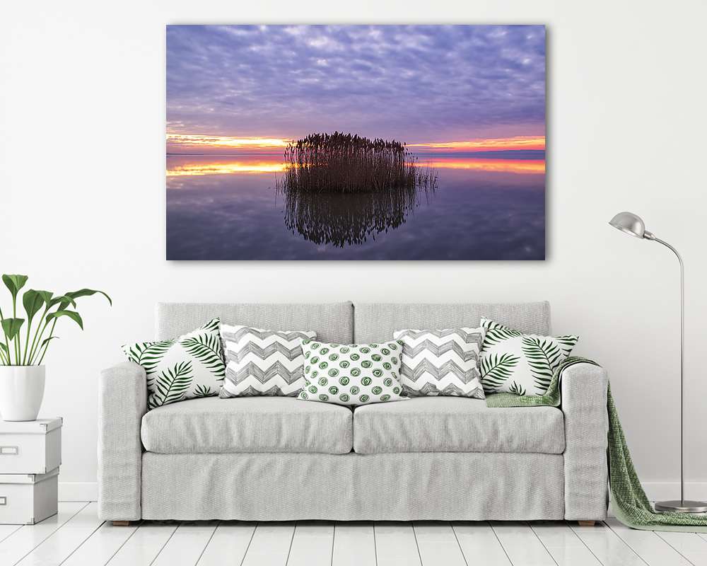 Nádas (fotótapéta) - vászonkép, falikép otthonra és irodába