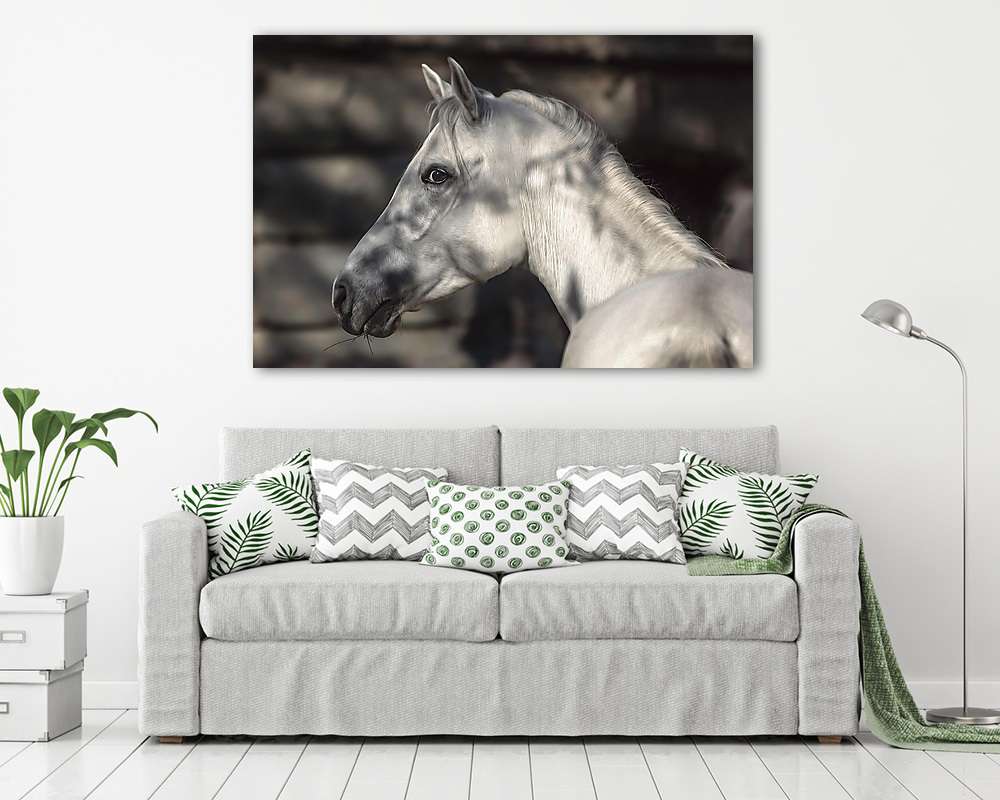 Shagya Arab portré (fotótapéta) - vászonkép, falikép otthonra és irodába
