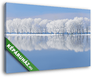 Zúzmarás, havas fák a folyóparton - vászonkép 3D látványterv