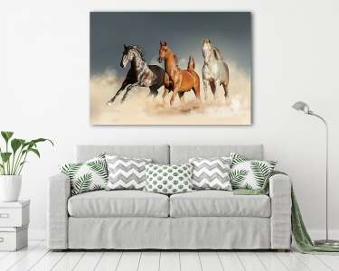 három ló szabadon fut a sivatagban (vászonkép) - vászonkép, falikép otthonra és irodába