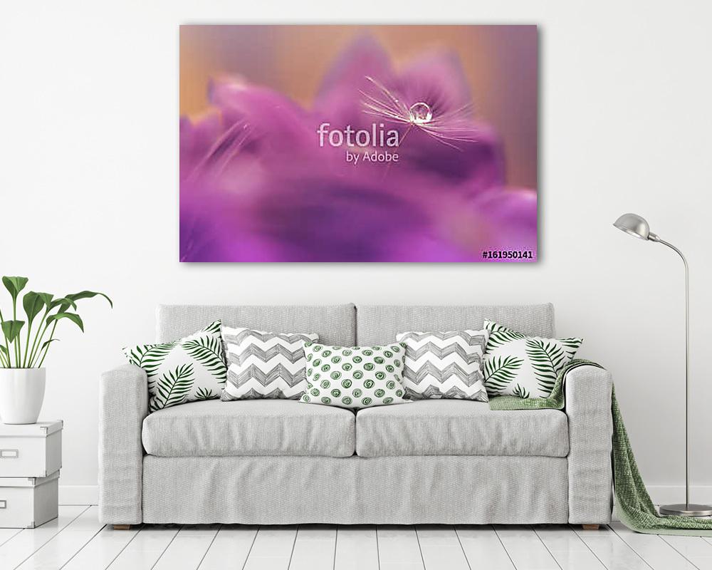 Macro of a dandelion. Dandelion with a drop of water in a purple (vászonkép) - vászonkép, falikép otthonra és irodába