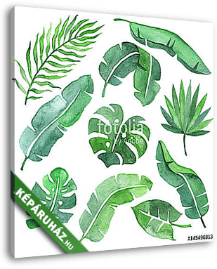 Tropical leaves set - vászonkép 3D látványterv